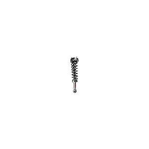 FCS 1336331 ストラットアセンブリ FCS 1336331 Complete Strut Assembly， Black 並行輸入品_2