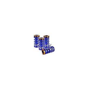 Auto Dynasty Aluminum Scaled Suspension Coilover Spring Compatib 並行輸入品の画像