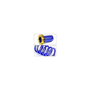 Auto Dynasty Aluminum Scaled Suspension Coilover Spring Compatib 並行輸入品の画像