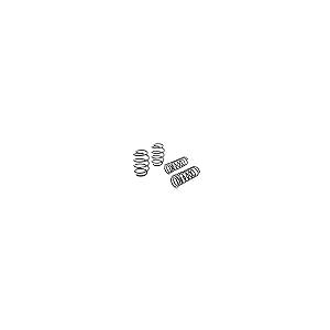 Eibach E10 20 038 02 22 プロキット パフォーマンススプリング 1パック Eibach E10 20 038 並行輸入品_5