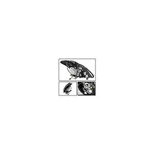 【並行輸入品】ACANII   For Pair HID Xenon Headlamps 2003 2004 2005 Nissan 350Zの画像