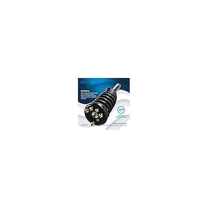 【並行輸入品】 Detroit Axle Front Struts for 1998 2002 Honda Accord 1999 2003