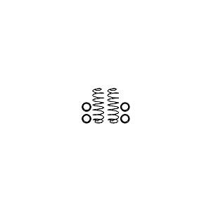 【並行輸入品】 SUNCORE   Rear Air Ride Suspension to Coil Springs Conversion Kiの画像