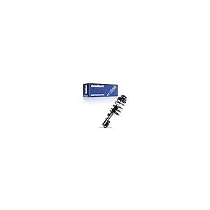 【並行輸入品】 AutoShack Front Complete Strut & Coil Spring Replacement for 201_2