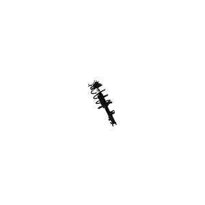 Shoxtec Front Left Complete Strut Assembly Replacement for 2007  並行輸入品の画像
