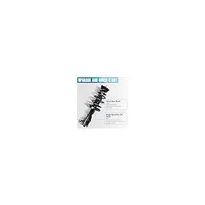 【並行輸入品】 Front Pair Complete Struts with Coil Spring Assembly Compatible_8