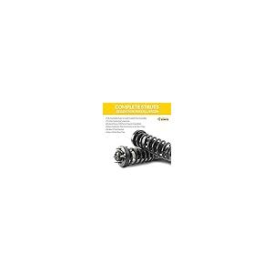 COMPLETESTRUTS フロントコンプリートストラットアセンブリ コイルスプリングとリアショックアブソーバー付き 交換用 並行輸入品_8