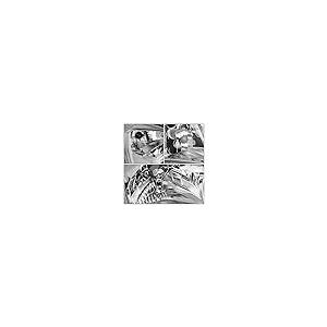 【並行輸入品】 Auto Dynasty SU2503145 Right Passenger Side OE Style Chrome Housの画像