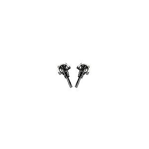 2PCS Front Complete Struts with Coil Springs Assembly 171565L 17 並行輸入品の画像