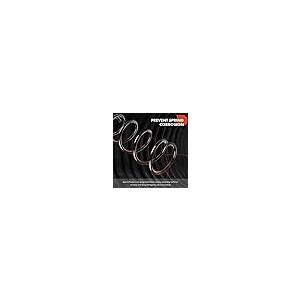 A Premium リアサスペンションコイルスプリングセット 2個 シボレー エクイノックス 2007 2017 \u0026 GMC Te 並行輸入品の画像