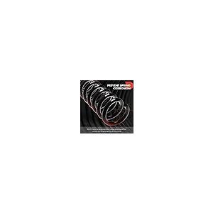 A Premium 2Pcs Front Suspension Coil Spring Set Compatible with  並行輸入品の画像