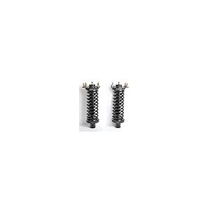South Mud Bay 1 Pair Front Shock Absorber Struts \u0026 Springs Compa 並行輸入品の画像