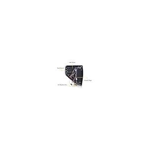 【並行輸入品】CHEDA LEDテールライト リアブレーキ パーキングランプ フォードF150 2009 2014 BL3Z13405B BL3の画像