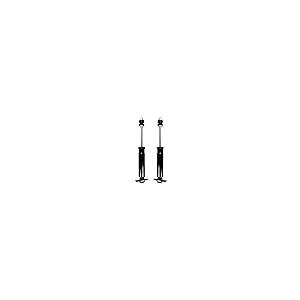 PM Auto Pair of 2 Front Shock Absorber For 1975 1980 Plymouth PB 並行輸入品の画像