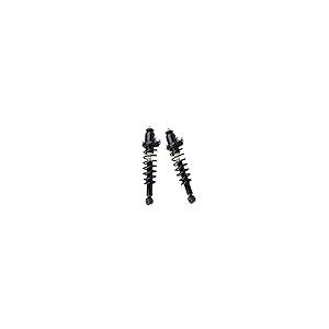 PAROD 171373L+171373R リアストラット コイルスプリングアセンブリ付き 2003 2008 ポンティアックバイ 並行輸入品_2