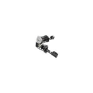 Front Complete Strut Coil and Spring Assembly Replace 11370, Str 並行輸入品の画像