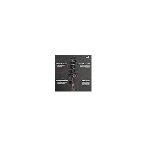 A Premium Front Pair (2) Complete Strut and Coil Spring Assembly 並行輸入品の画像