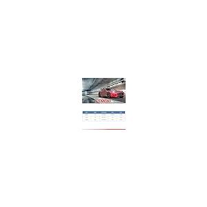 GAIASURGE Rear Driver and Passenger Side with Bracket Caliper 20 並行輸入品の画像