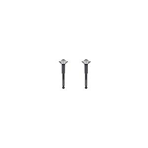 Rear Left \u0026 Right Complete Shocks Absorber \u0026 Links For Toyota Co 並行輸入品の画像