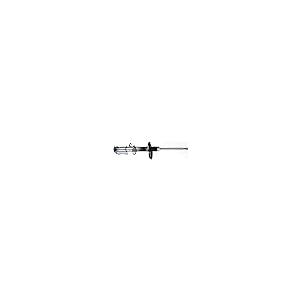 【並行輸入品】 A Partrix Strut Assembly Pair Rear Struts Replacement， Quick C_8