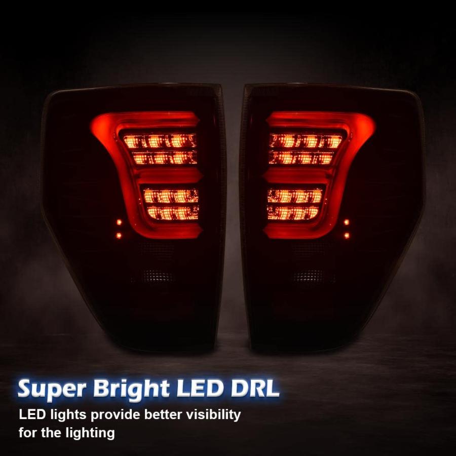 【並行輸入品】 G PLUS LED Tail Lights Compatible with Ford F150 2009 2014 Rear