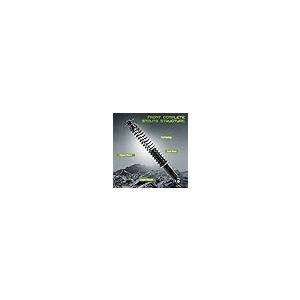 AUTOSAVER88 Rear Load Shocks and Strut Compatible with 1996 2002 並行輸入品の画像