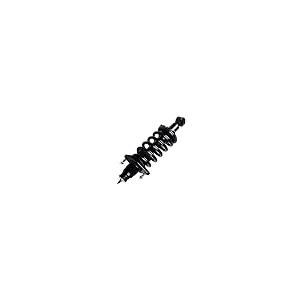 【並行輸入品】 Rear Complete Struts Assembly Shock Absorbers w/Coil Spring Fits_5