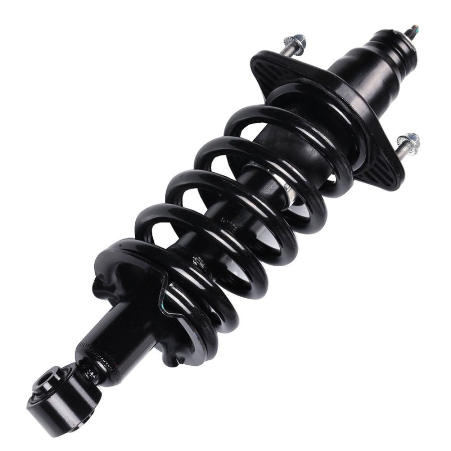 【並行輸入品】 Rear Complete Struts Assembly Shock Absorbers w/Coil Spring Fits_6