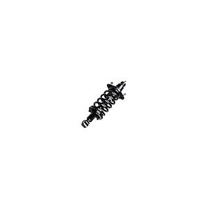 【並行輸入品】 Rear Complete Struts Assembly Shock Absorbers w/Coil Spring Fits_8