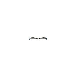 ?A Partrix Front Lower Control Arm Kit Complete   Suspension Arm 並行輸入品の画像