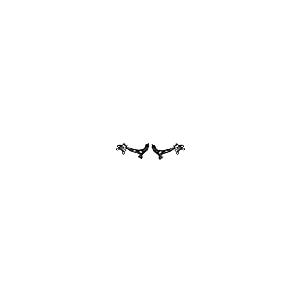 ?A Partrix Front Lower Control Arm Kit Complete, Front Suspensio 並行輸入品の画像
