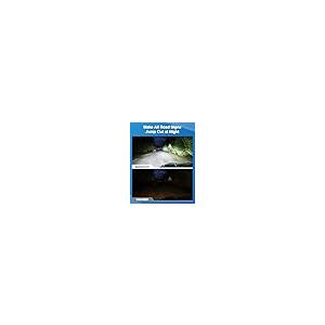Marsauto Fog Bulbs, 68000LM 800% Brighter Light with Turbo Fan,5 並行輸入品_5