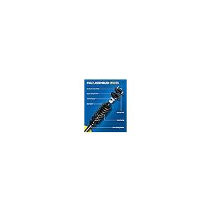 【並行輸入品】 PHILTOP Rear Shock Absorber Struts for Ridgeline 2006 2014, 1723の画像