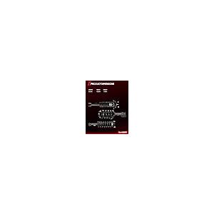 【並行輸入品】 Torchbeam Front Struts Amortiguadores Delanteros Shocks Absorberの画像