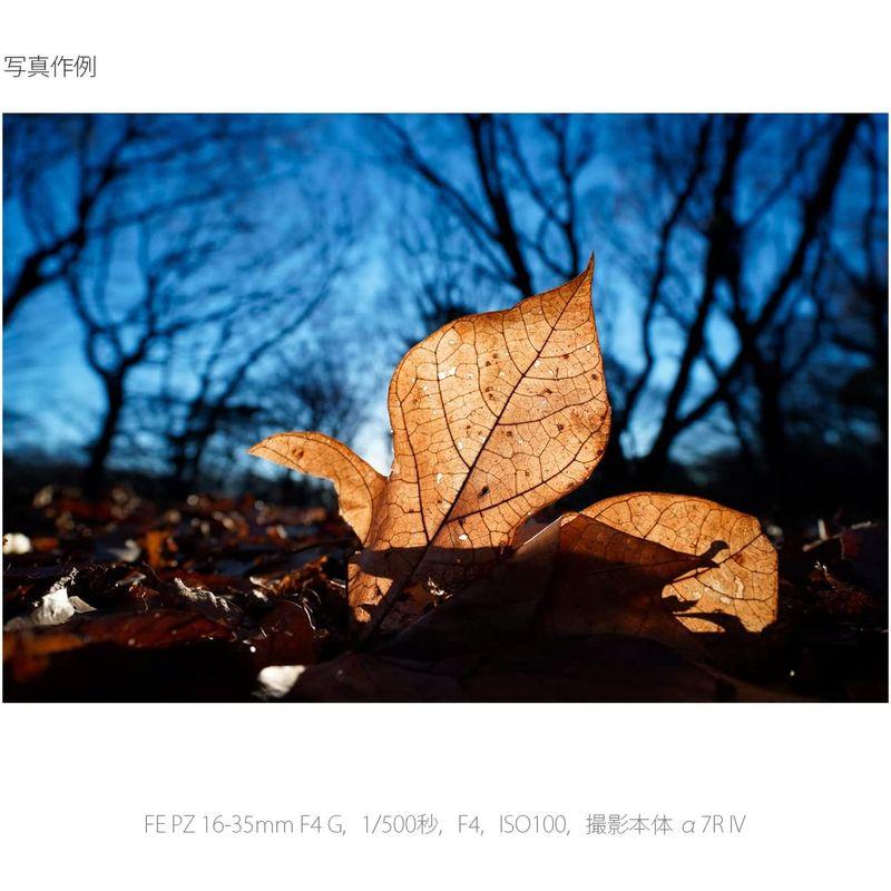 正規品 ソニー / 広角ズームレンズ / フルサイズ / FE PZ 16-35mm F4 G / Gレンズ / デジタル一眼カメラαEマウント用 【TMF1941935203】(70705円)