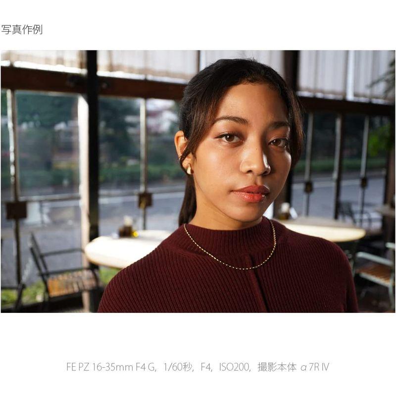 正規品 ソニー / 広角ズームレンズ / フルサイズ / FE PZ 16-35mm F4 G / Gレンズ / デジタル一眼カメラαEマウント用 【TMF1941935203】(70705円)