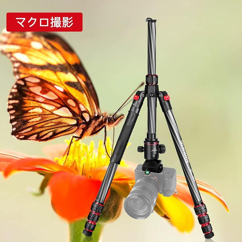 Manbily 173cm カーボン三脚 トラベル三脚 中軸反転 マクロ撮影 一脚可変式 カメラ三脚 耐荷重8kg 自由雲台 脚径28mm 173cm カーボン三脚 トラベル三脚 中軸反転 マクロ撮影 一脚可変式 カメラ三脚 耐荷重8kg 自由雲台 脚径28mm ボール