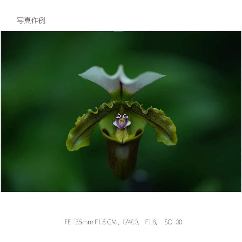 新入荷 ソニー / 望遠単焦点レンズ / フルサイズ / FE 135mm F1.8 GM / G Master / デジタル一眼カメラαEマウント 【3076454165】(112013円)