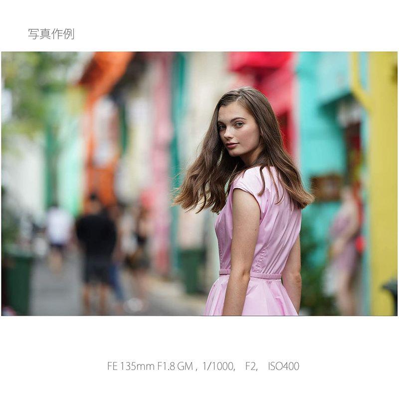 新入荷 ソニー / 望遠単焦点レンズ / フルサイズ / FE 135mm F1.8 GM / G Master / デジタル一眼カメラαEマウント 【3076454165】(112013円)
