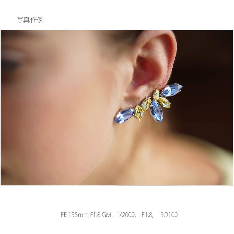 新入荷 ソニー / 望遠単焦点レンズ / フルサイズ / FE 135mm F1.8 GM / G Master / デジタル一眼カメラαEマウント 【3076454165】(112013円)