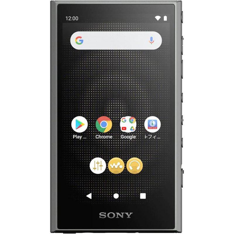 【まとめ売り】 ソニー ウォークマン 64GB A300シリーズ NW-A307 : ワイヤレスでも ハイレゾワイヤレス対応/ストリーミング対応/LDAC・ 【AA6094179173】(22189円)