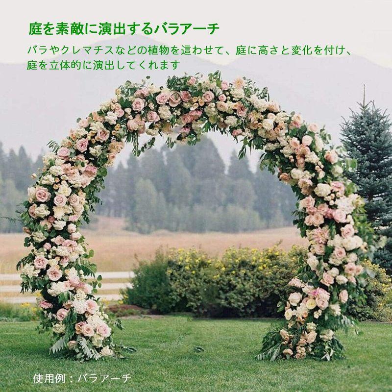 LUVODI ガーデンアーチ 薔薇 庭 ウェディングアーチ アイアン 錆びない ホワイト 結婚式 バルーンアーチスタンド フレーム 骨組み ガーデンアーチ 薔薇 庭 ウェディングアーチ アイアン 錆びない ホワイト 結婚式 バルーンアーチスタンド フレーム 骨組み