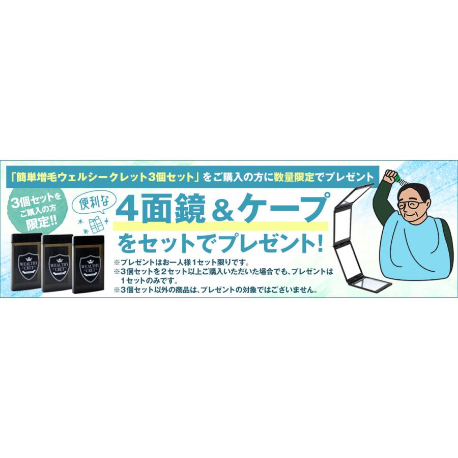 薄毛隠し はげ隠し 粉 つむじはげ ヘアファンデーション 白髪隠し てっぺんはげ 頭頂部 後頭部 はげ対策 若はげ対策 女性 男性 薄毛対策  1051-63