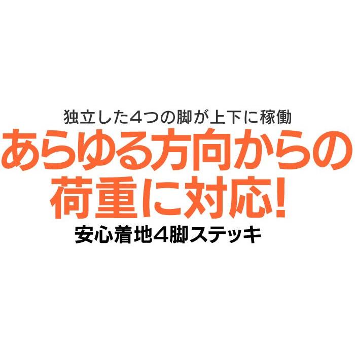 在庫限り 杖 母の日 高級 高級品 4点杖 四点杖 介護杖 多点杖 介護用杖 高齢者 介護用品 杖 自立式 歩行 安定 ステッキ 自立 4本足 男性 女性 左手 右手 【STK】 | ブランド登録なし | 03