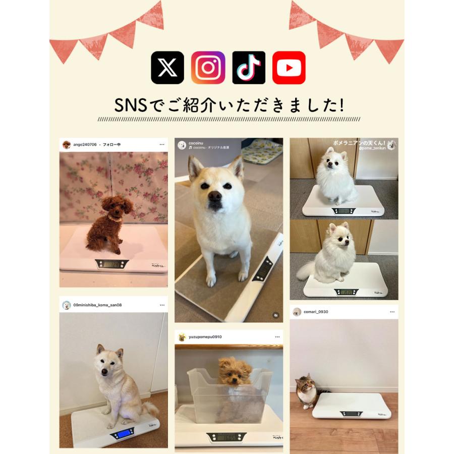 滑り止めマット付き】 ペット体重計 犬 猫 ペットスケール ペットくん