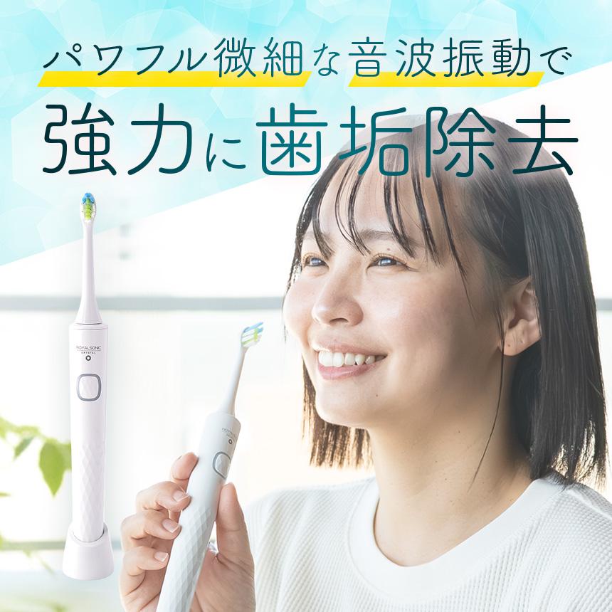 ワイドシステム 電動歯ブラシ 充電式 替えブラシ 10本付き セット 音波