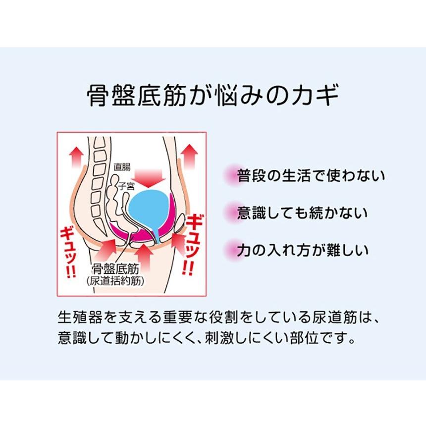 骨盤底筋 クッション 【広島大学共同開発】 キュットブル 骨盤底筋を鍛えるグッズ トレーニング 尿もれ対策 骨盤底筋群 失禁対策 ちょい漏れ対策 尿漏れ対策｜wide02｜06