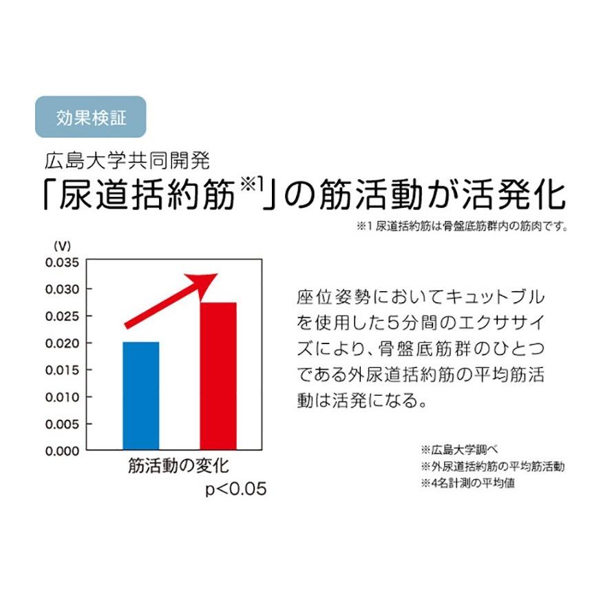 骨盤底筋 クッション 【広島大学共同開発】 キュットブル 骨盤底筋を