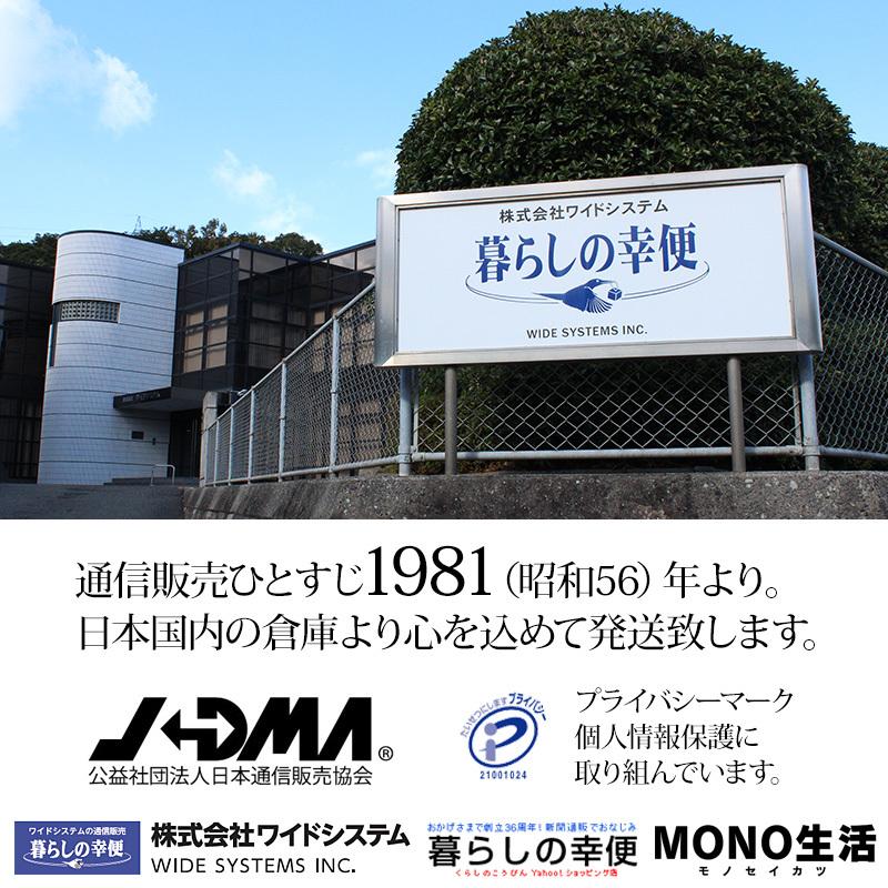 ミニカー 収納ラック トミカ収納 山崎実業 タワー プラレール 電車 新幹線 プラモデル おもちゃ収納 整理 コンパクト 収納棚 tower｜wide02｜09