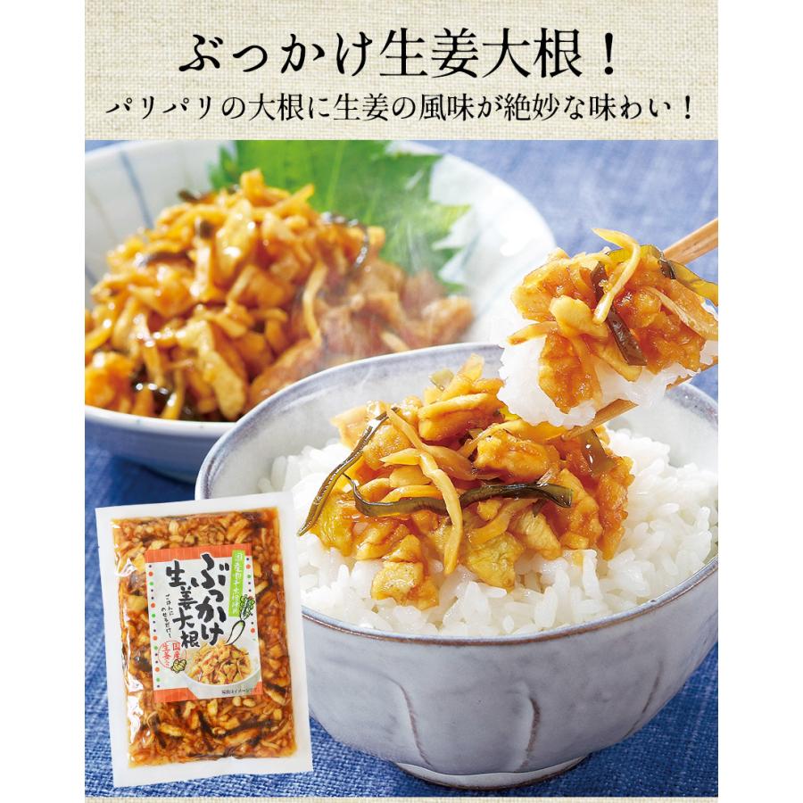 大きな割引 ご飯のお供 ご飯のおとも ふりかけ 漬物 ぶっかけ生姜大根 お土産 おいしい 美味しい 真空パック 長期保存 非常食 備蓄 常備 Krntner Pflege Service 04b At